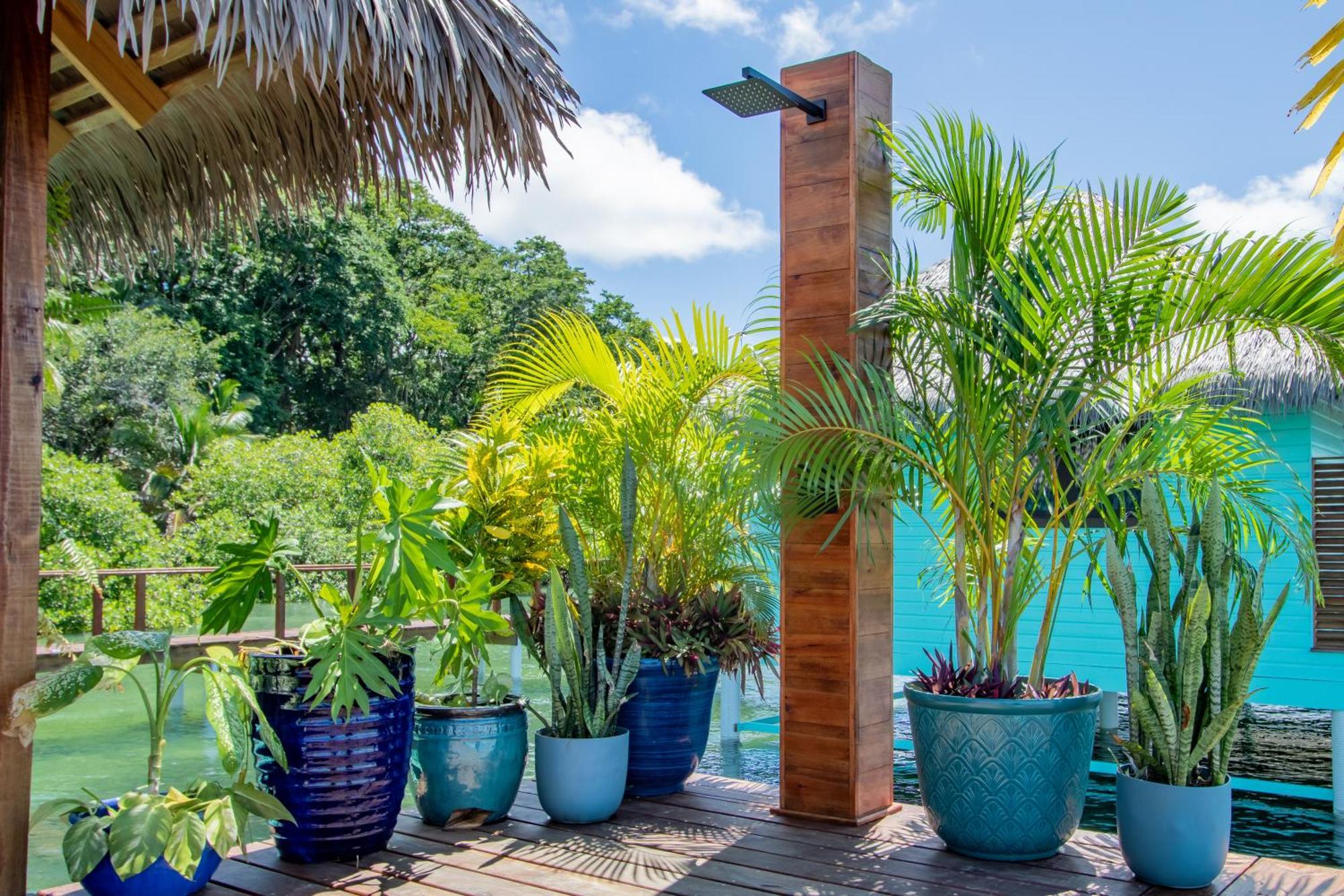 Sol Bungalows Bocas Del Toro Eksteriør billede